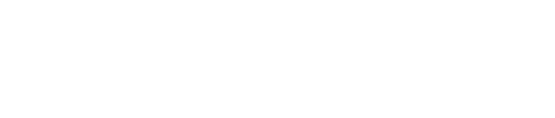 Esimtech
