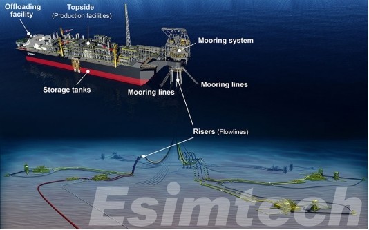 Design of Floating Production Storage and Offloading Units