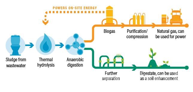 Bioenergy from Waste