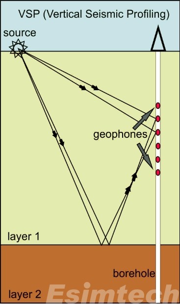 Vertical Seismic Profiling（VSP）