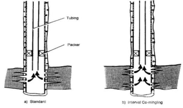 Types of Dual Completions