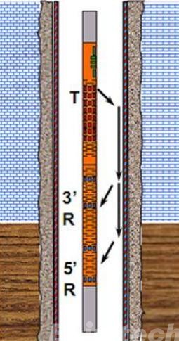 Cement Bond Logging