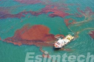 Skimming Oil