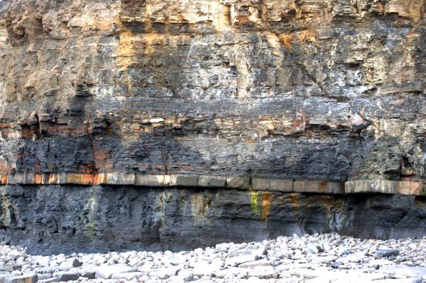 Shale oil bearing rock