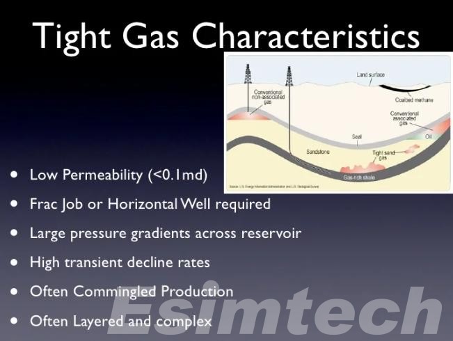 Tight Gas Reservoir