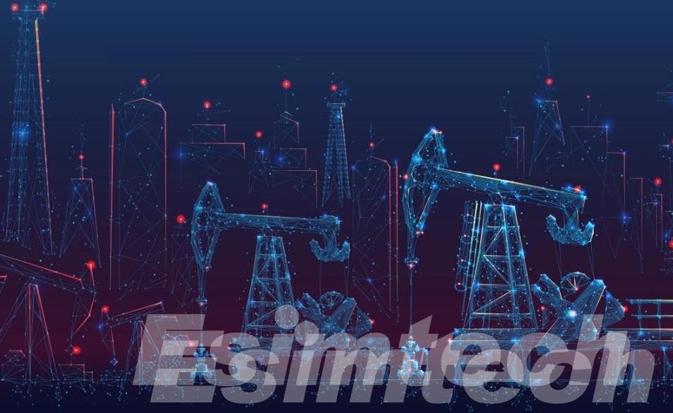 Digital Twins in Petroleum Engineering