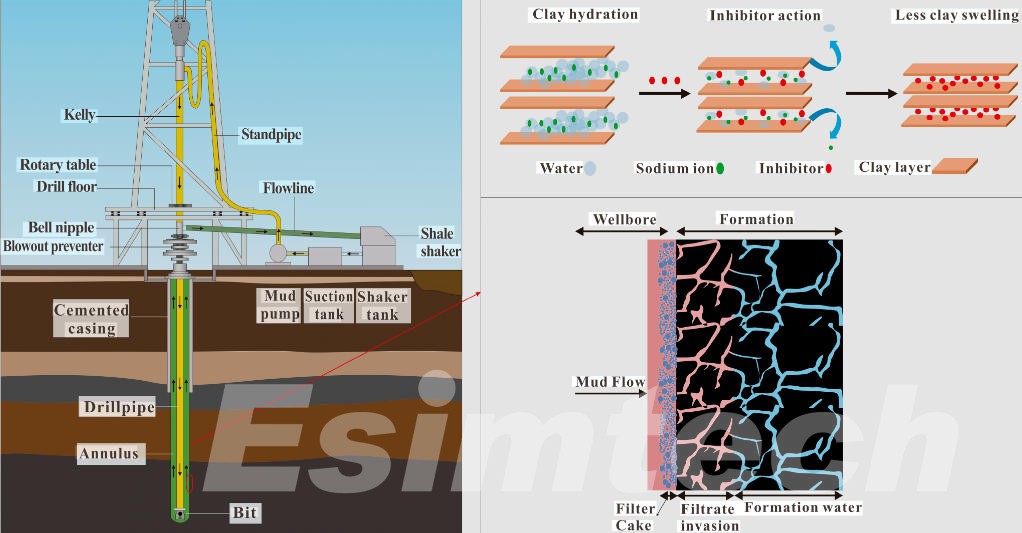 Drilling Fluids for Well Stability